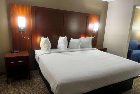 Wingate by Wyndham College Station South - 77