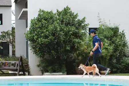 Pawtel - 12