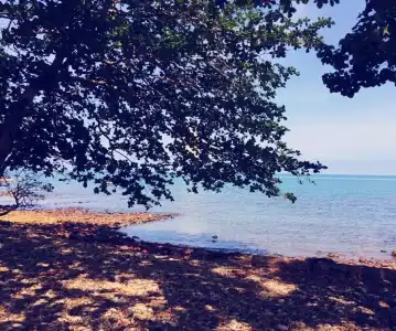 Kohchang Privilege - 17