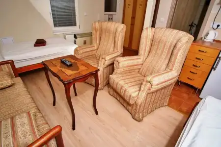 Apart Villas Ivica - 100