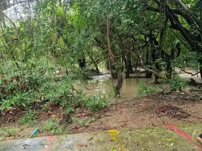 Tontarn Resort And Spa - 189