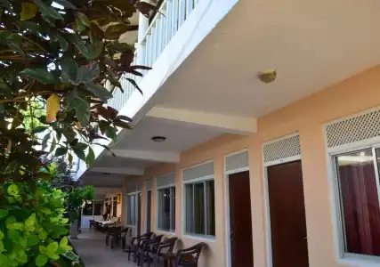 Paradiso - 14