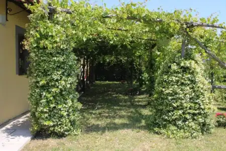 Agriturismo Piccolo Paradiso - 95