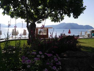 Uysal Motel Beach - 16