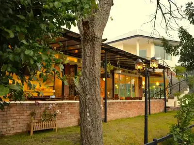 Dandelion Resort - 5