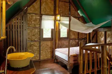 Our Jungle Camp - Eco Resort - 44