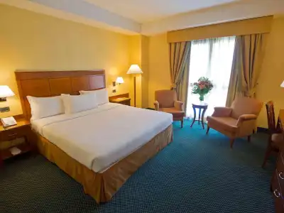 Mercure Rome Leonardo da Vinci Airport - 3