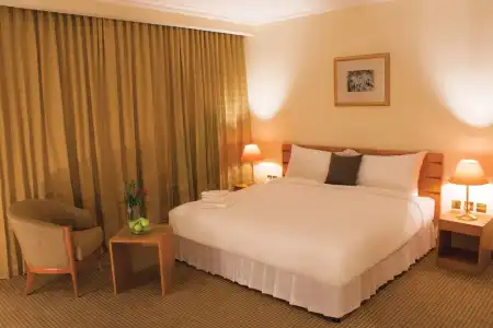 Swiss-Belinn - 0