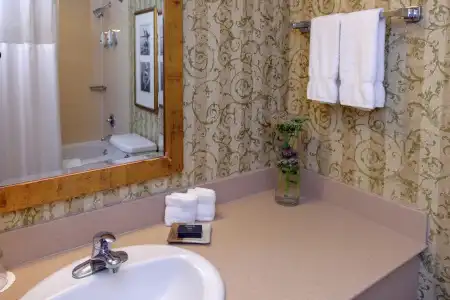 Deerhurst Resort - 29
