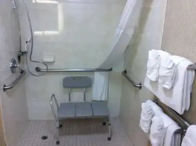 Comfort Inn Anaheim Resort - 55