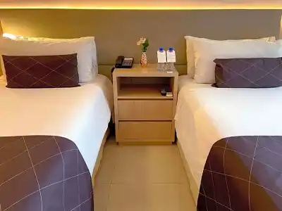 Cullinan Hplus Premium - 85