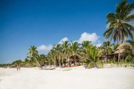Delek Tulum - 8