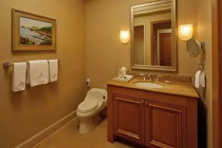 The Resort at Pelican Hill - 130