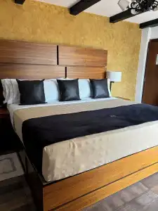 Boutique La Mansion Guadalajara - 36