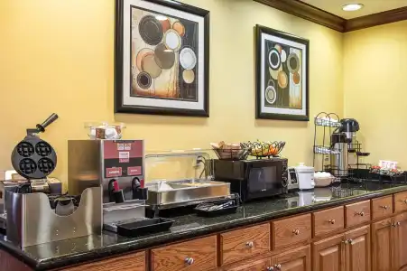 Econo Lodge Inn & Suites Little Rock SW - 8