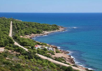 Kalma Jardín de Bellver - 32