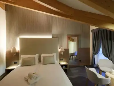 X Alp - 1