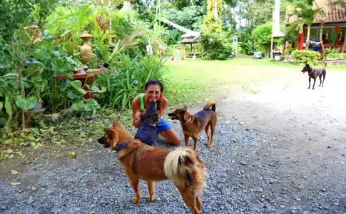 Boonya Resort Koh Chang - 20
