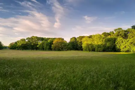ParkBremen - 100