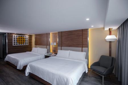 Holiday Inn Zona Centro by IHG - 2