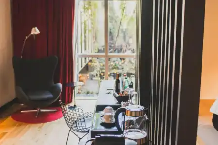 Anselmo Buenos Aires Curio Collection By Hilton - 45