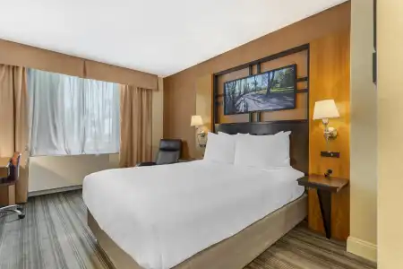 Best Western Queens Gold Coast - 63