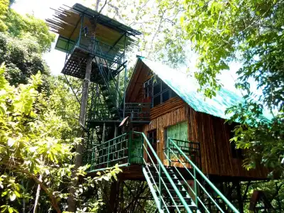 Khao Sok Tree House - 49