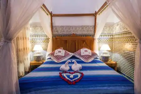 Riad Tara - 2