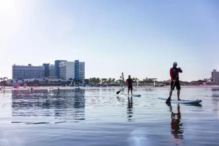 Hilton Clearwater Beach Resort & Spa - 37