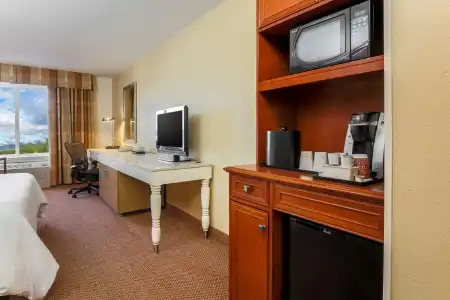 Hilton Garden Inn Anchorage - 63
