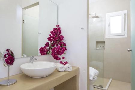 Rhenia Mykonos - 8