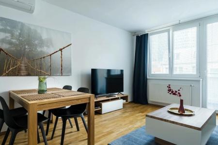 Business & Family Ambiente Apartments - 184