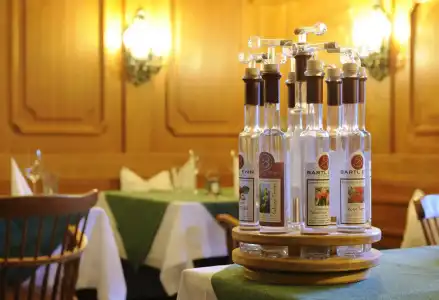 Saalbacher Hof - 12