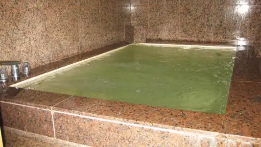 Tokiwa Ryokan - 11