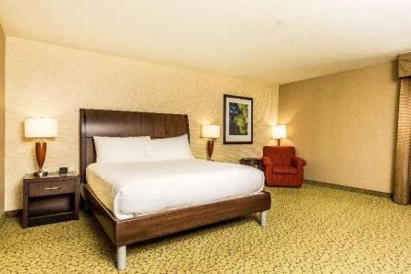 Hilton Garden Inn St. George - 75