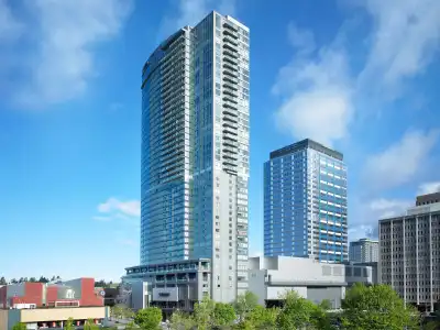 The Westin Bellevue - 50