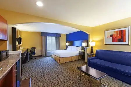 Best Western Premier Houston Downtown/Convention Center - 76