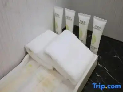 Jinjiang Metropolo Hua Ting Guest House - 79