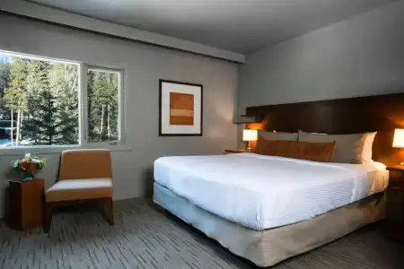 The Juniper - 59