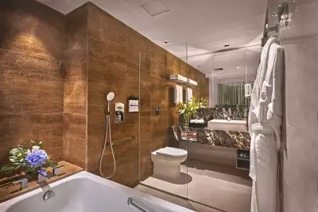 Pullman Singapore Orchard - 9