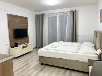 Corvin Rose Apartment - 63