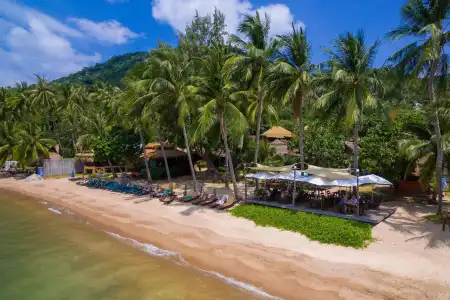 Palm Leaf Resort - 9