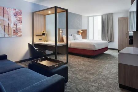 SpringHill Suites Orlando at Millenia - 46