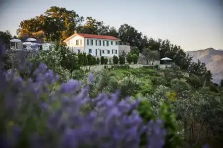 Il Leccio - Luxury Resort Portofino Monte - 78