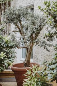 Honigmond Boutique Berlin - Mitte - 21