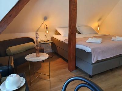 Boutique Villa Horbach - 4