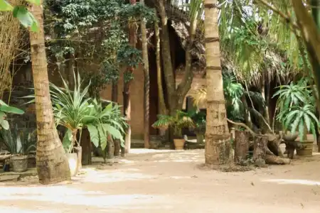 Cinnabar Resort - 5