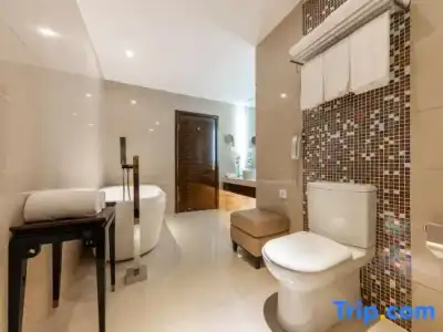 Dorsett Wuhan - 189