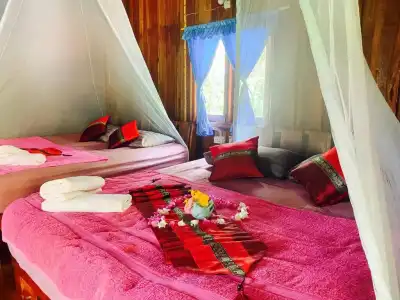 Nadia Resort Kohjum - 10