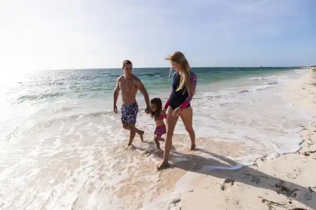 Family Selection at Grand Palladium Select Costa Mujeres - All Inclusive - 31